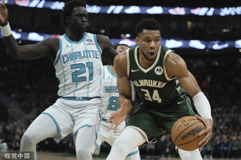 组织后卫 组织后卫