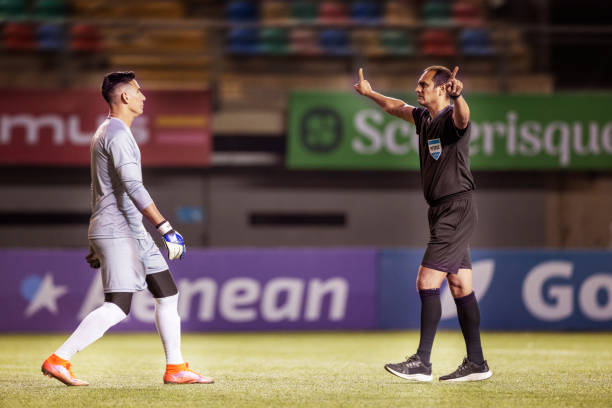 他与内线轮 他与内线轮